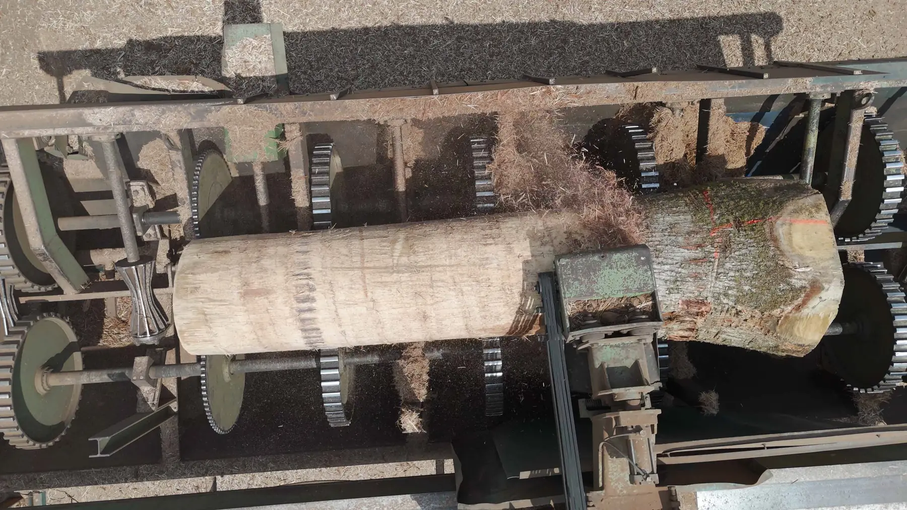 A log being debarked on a saw carriage